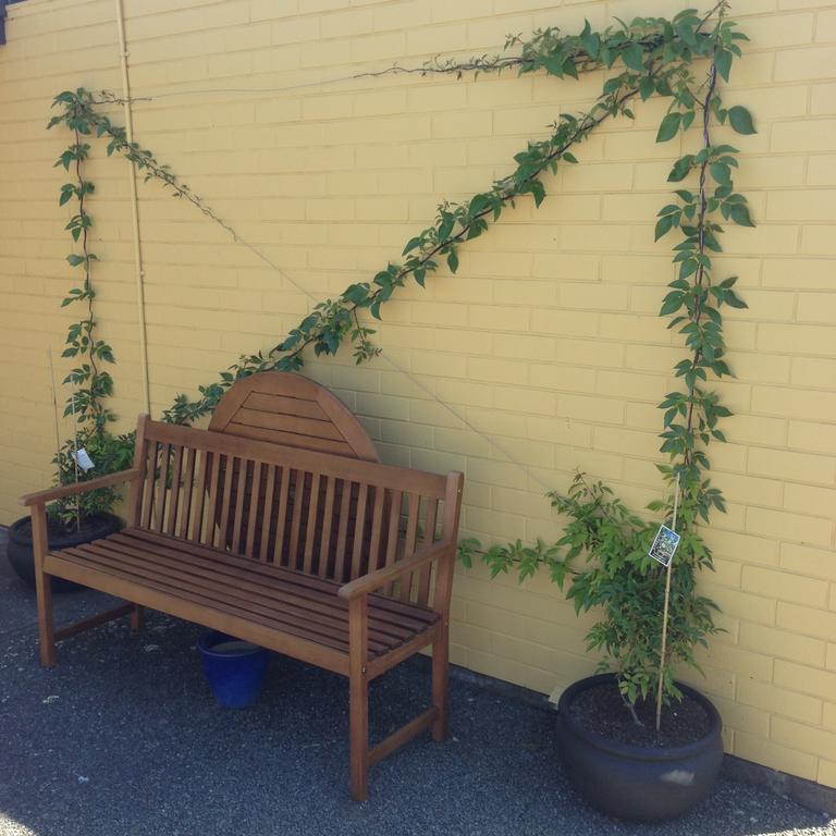 Mount View Motel Hawera Dış mekan fotoğraf